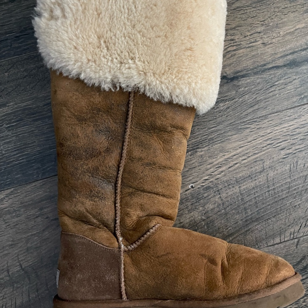 Gently used uggs